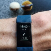 Review: Fitbit Charge 2