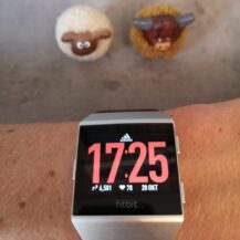 Review: Fitbit Ionic