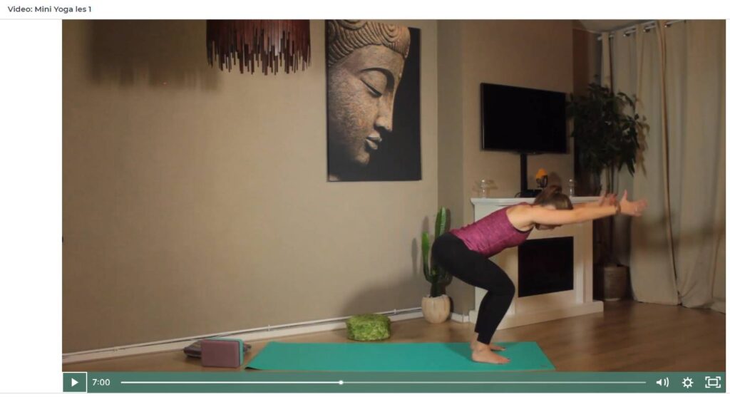 Op deze foto zie je de Mini Yoga lessen