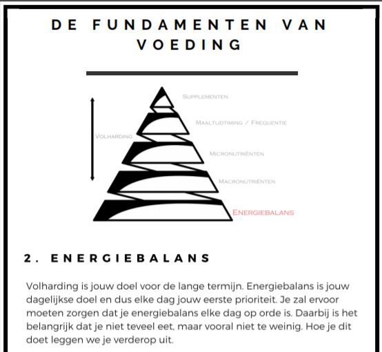 Hier zie je de energiebalans van de theorie van het Spiermassa Protocol Mannen
