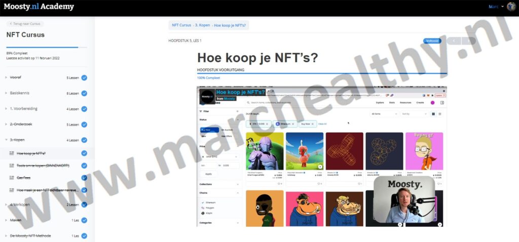 Op deze foto zie je mijn #2 Moosty's NFT cursus als beste NFT cursus