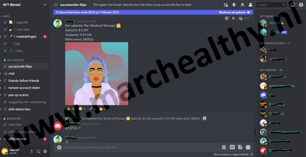 Op deze foto zie de discord community uit NFT Secrets