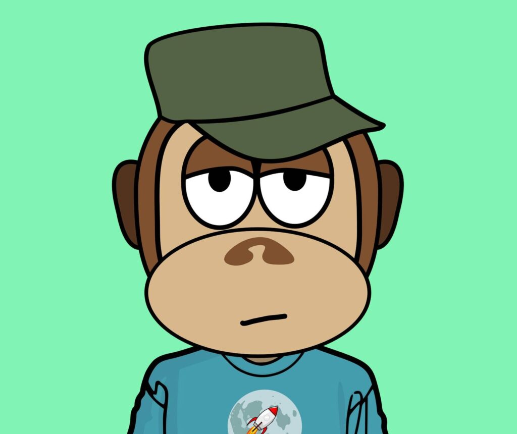 Op deze foto zie je een bored ape als voorbeeld van een nft