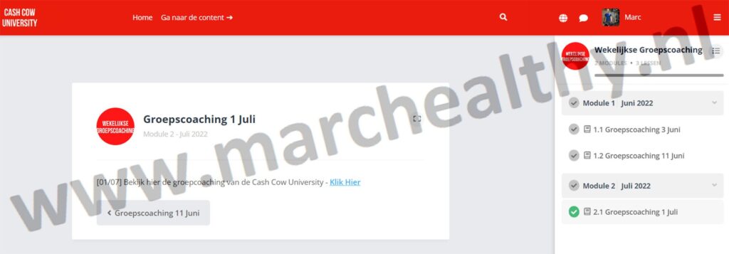 Op deze foto zie je Extra #1 – Groepscoaching van de Cash Cow University