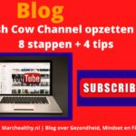 cash-cow-channel-opzetten-marchealthy