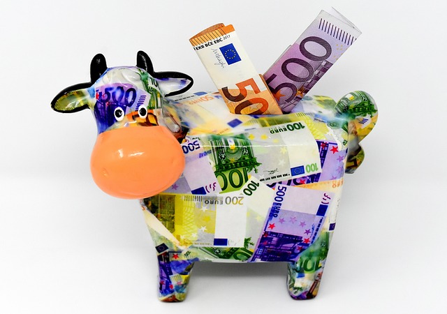 Op deze foto zie je een geld koe, die staat voor cash cow
