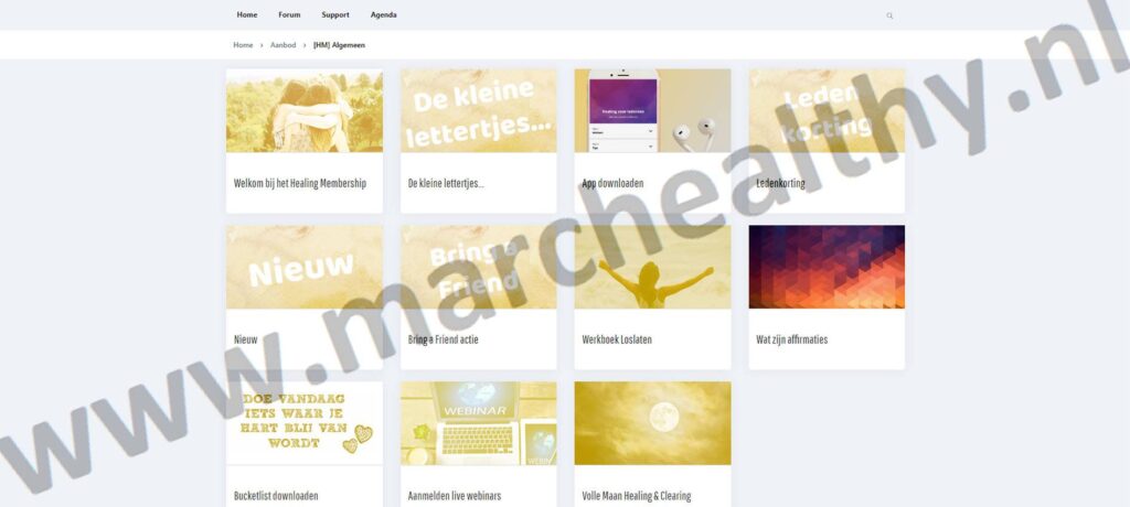 Op deze foto zie je het aanbod van Higher Spirit Academy