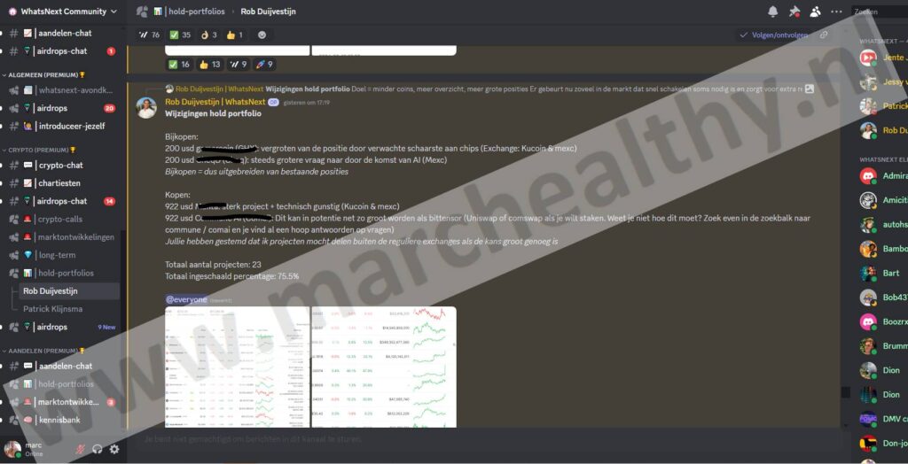 Op deze foto zie je het discord platform van WhatsNext Community (Rob Duijvestijn en Patrick Jongeneel)